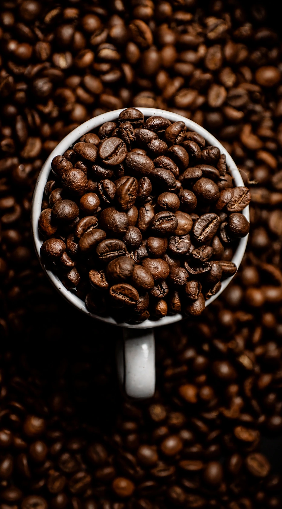 Smooth and balanced Red Blend coffee inspired by authentic Italian coffee craftsmanship by Velza Global across India, Philippines, and Hong Kong
